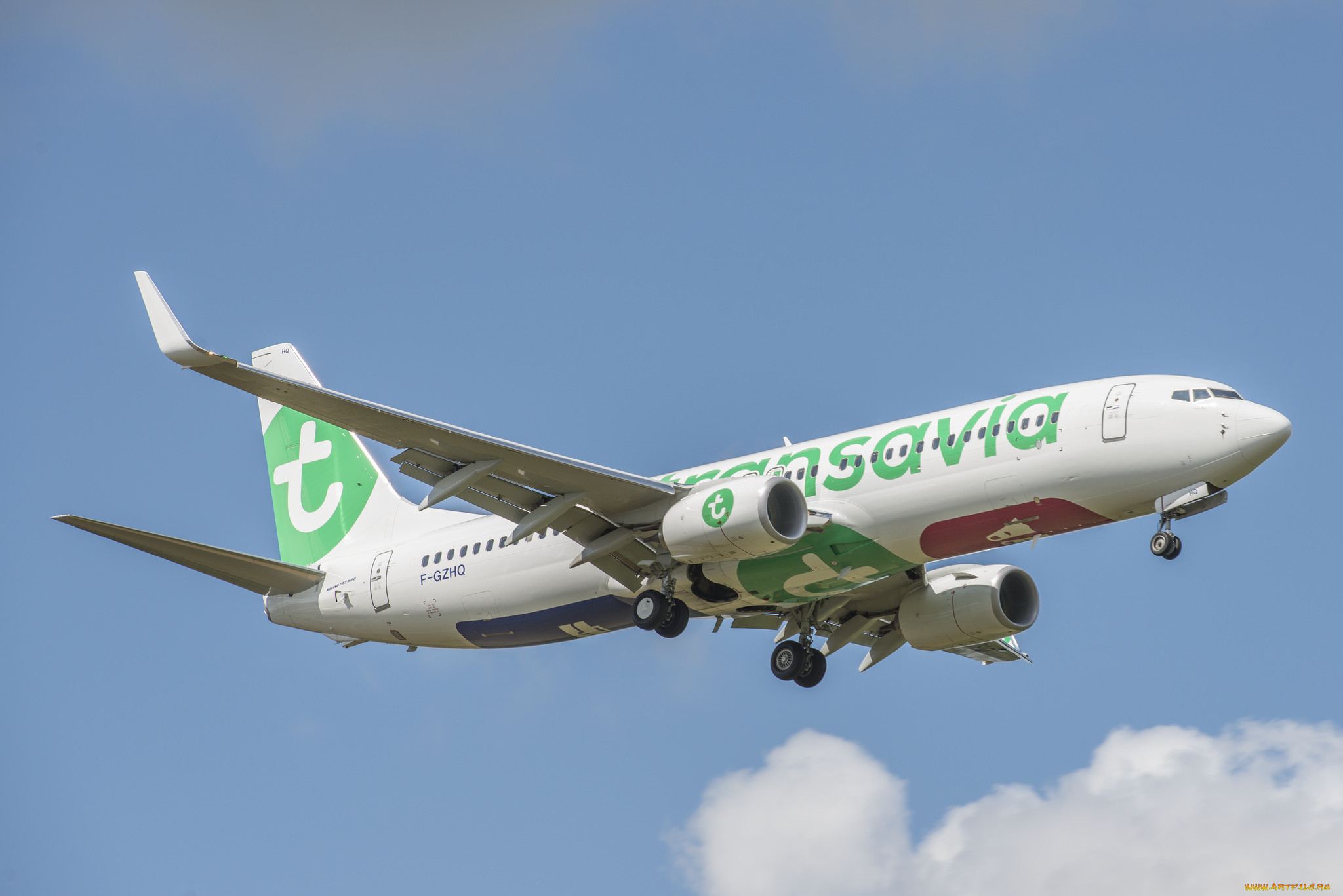 boeing 737-800, ,  , 